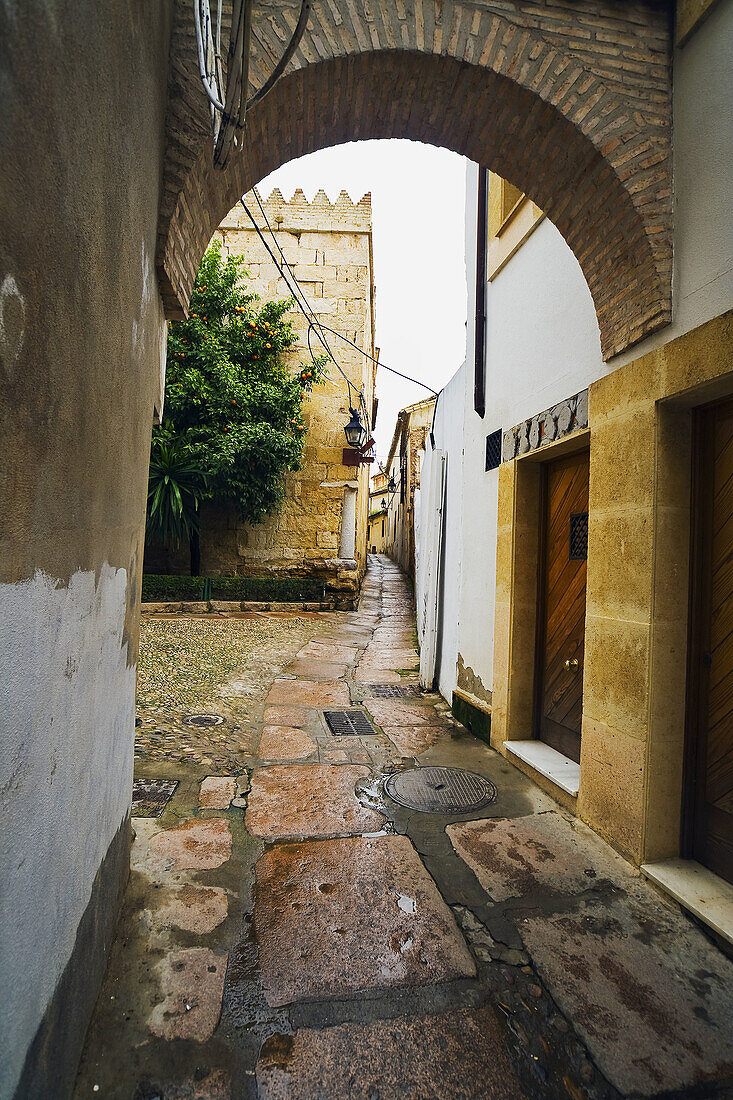 La Judería (old jewish quarter), Historic Center of Cordoba (Added to the Unesco's World Heritage List in 1984). Cordoba. Andalusia, Spain