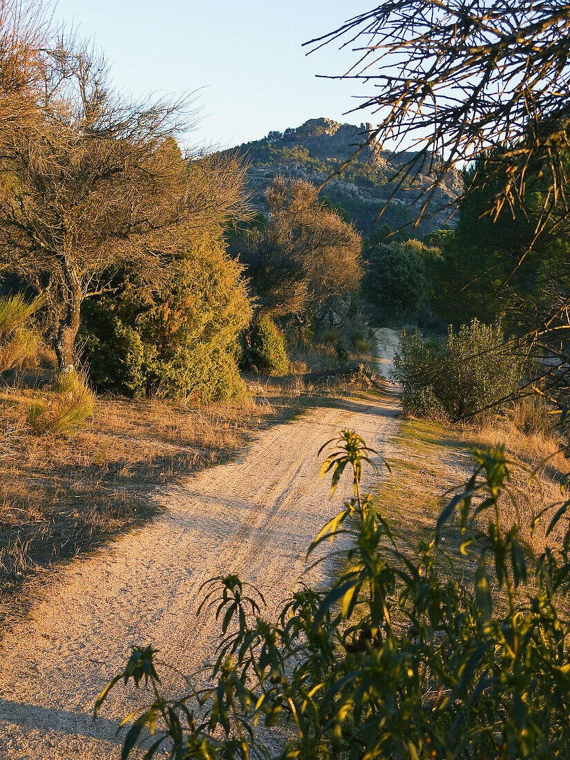 Peña Muñana. Cadalso de los Vídrios. Madrid. Spain.