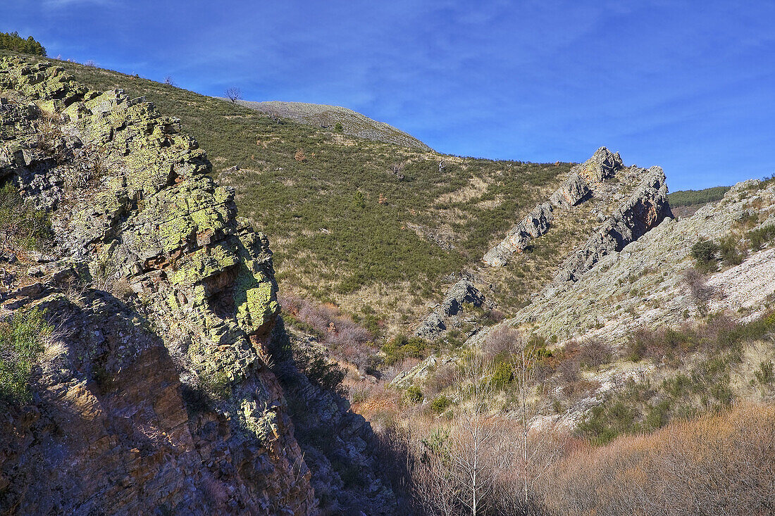 Sierra de la Puebla. Madrid. Spain.