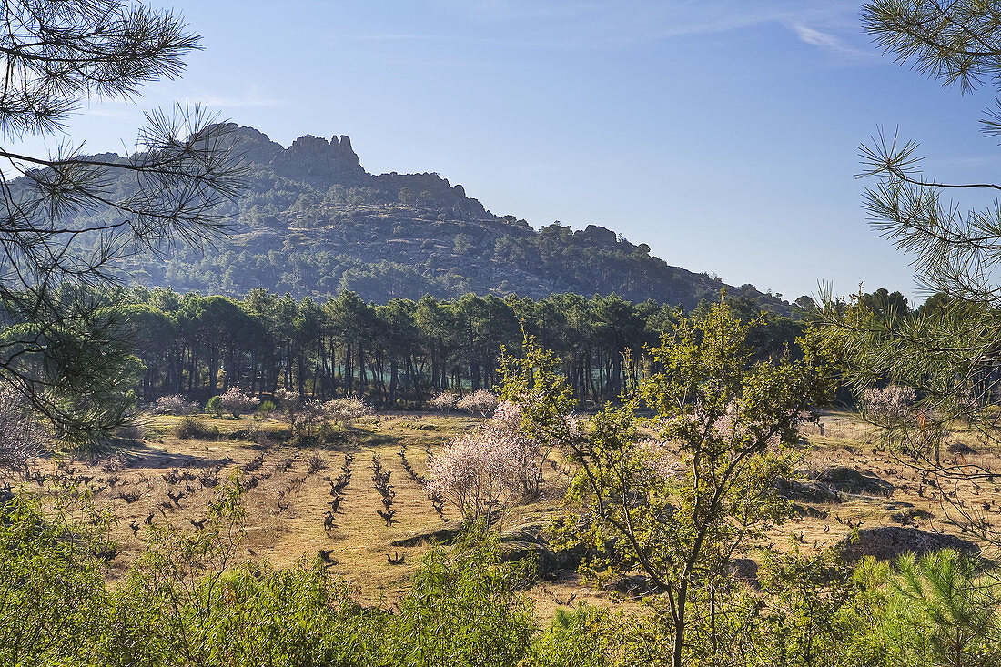 La Peña Muñana. Madrid. Spain