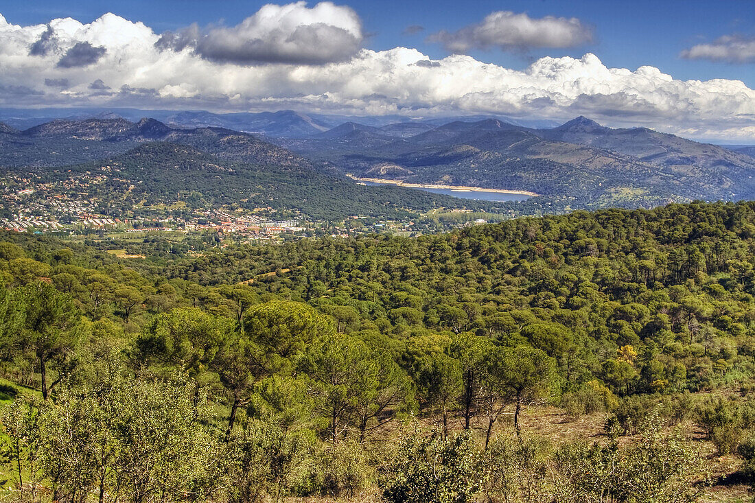 Pelayos de la Presa. Madrid. Spain..