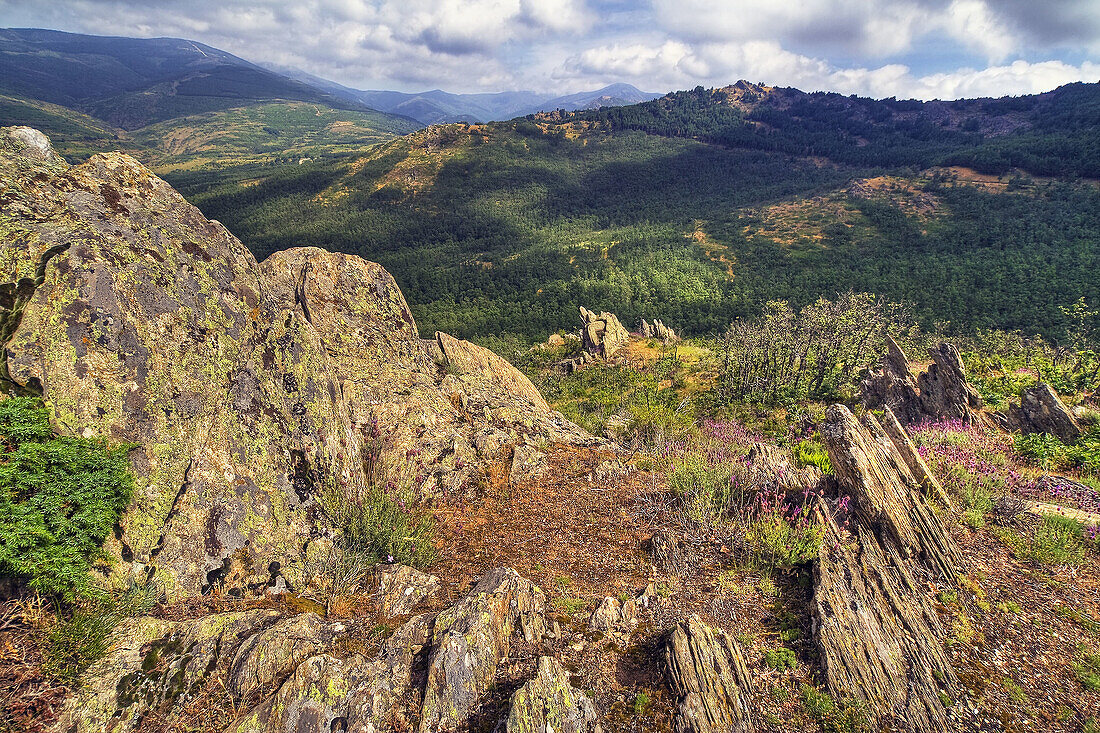 Sierra Norte. Spain..