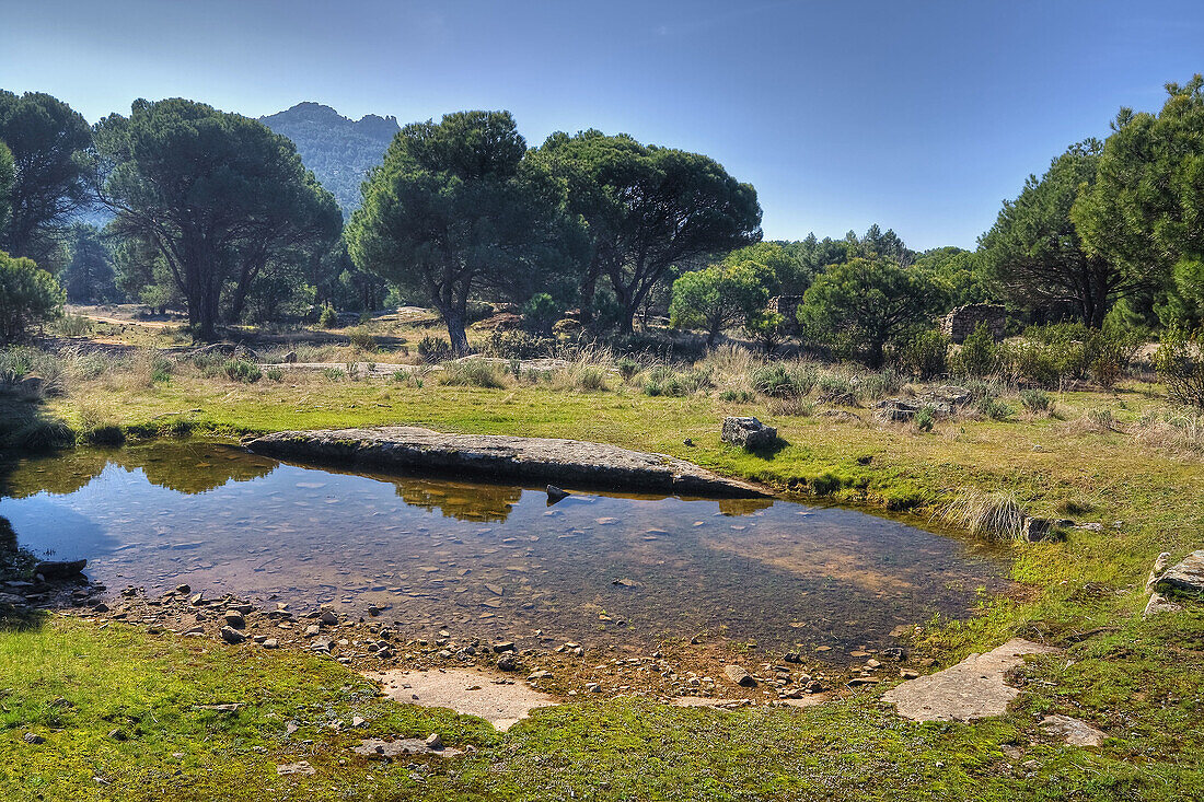 La Peña Muñana. Cadalso de los Vídrios. Madrid. España.