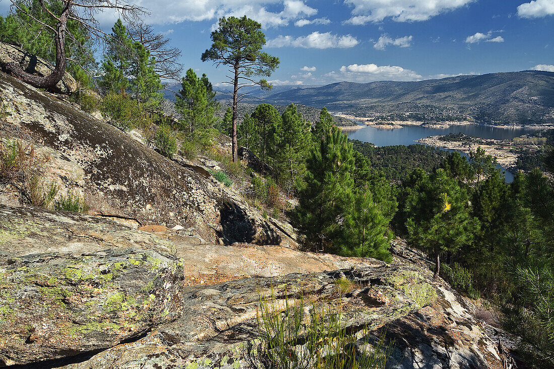 Reservoir from Iruelas Valley. Castilla león. Spain.