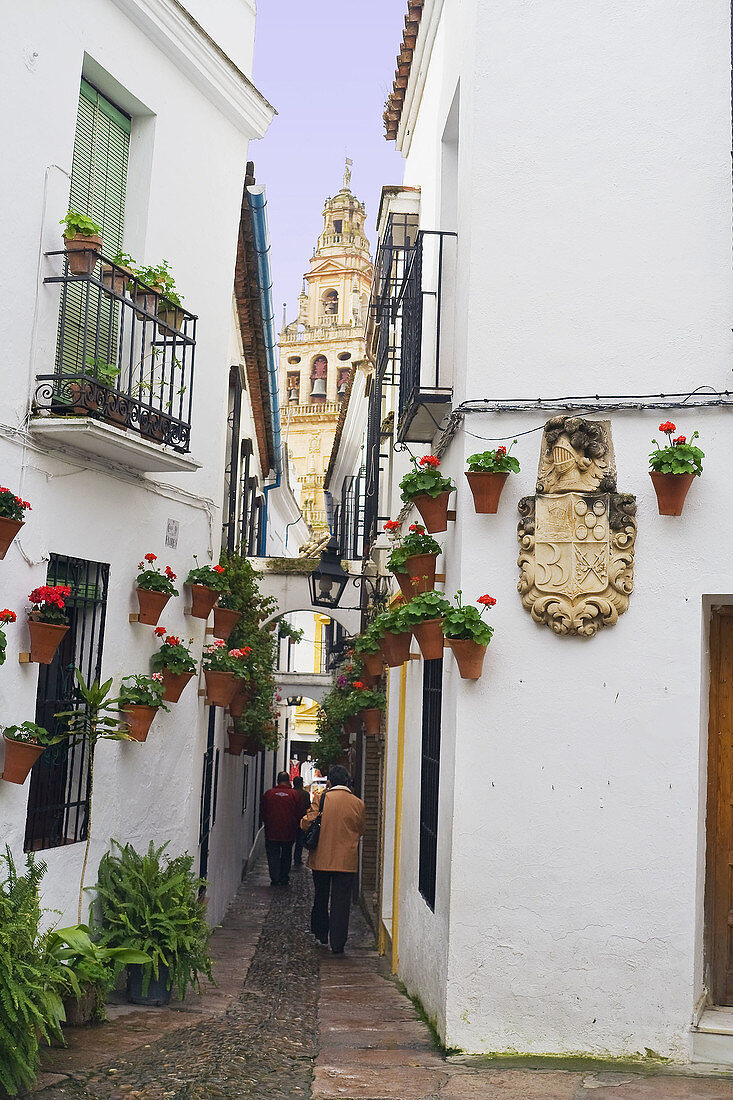 Calleja de las Flores. Córdoba. Andalusie. Spain.
