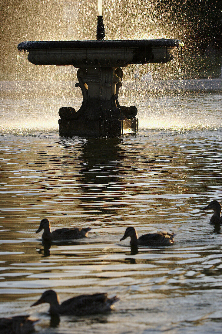 A fountain in Jardin des Tuileries. Paris. France