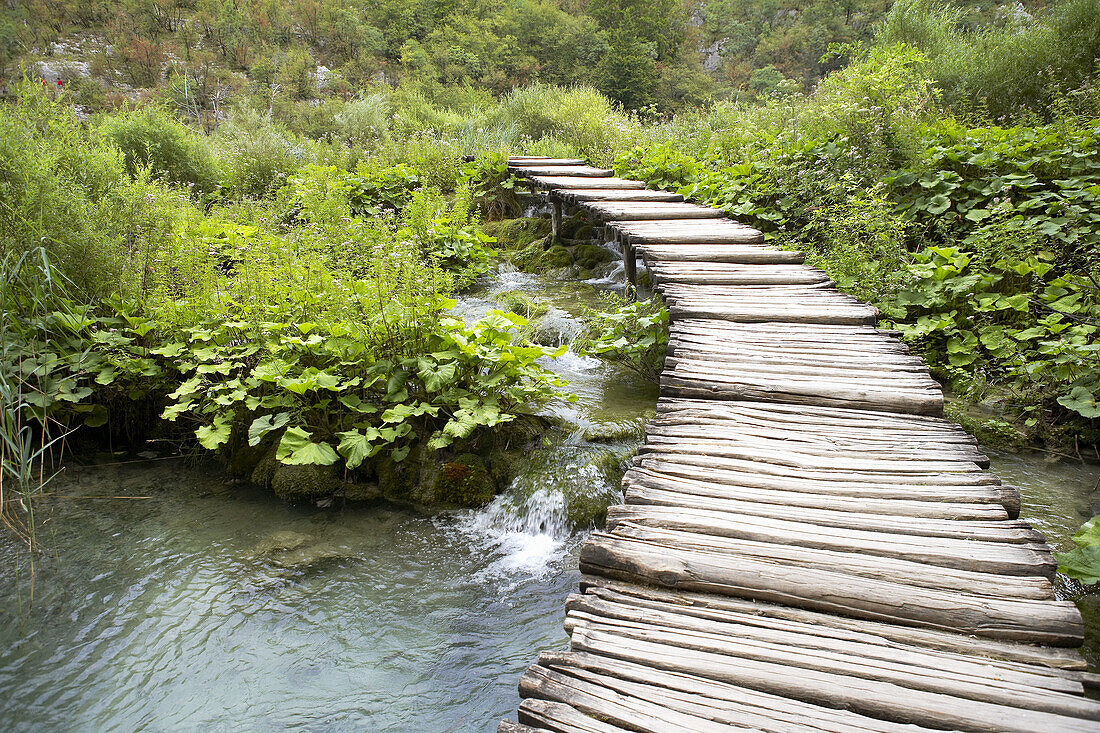 Boardwalk, Boardwalks, Color, Colour, Daytime, Exterior, Falls, Flow, Flowing, Foam, Foamy, Forest, Forests, Motion, Movement, Moving, Nature, Outdoor, Outdoors, Outside, River, Rivers, Scenic, Scenics, Stream, Streams, Water, Waterfall, Waterfalls, White