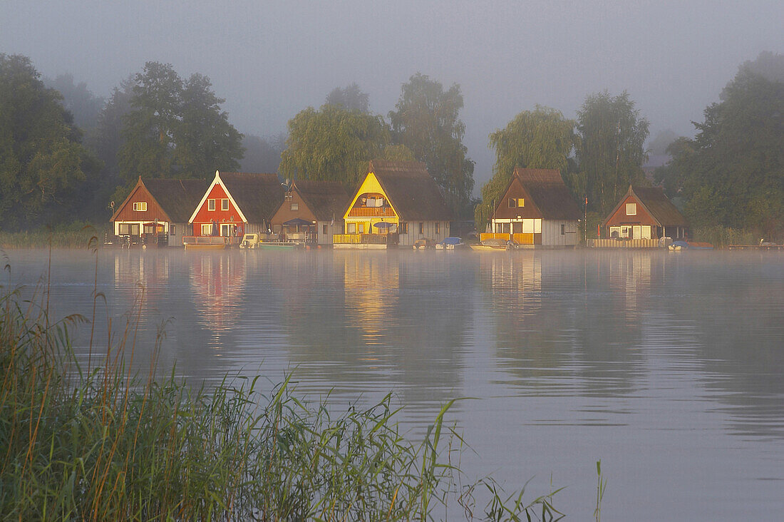 Holiday homes at lake Mirow in early morning fog, Mecklenburg Lake District, Mecklenburg-Western Pomerania, Germany