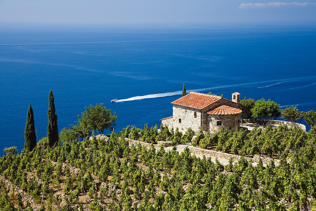 Small villa and vineyard above the coast near Colle d'Orano, Elba, Italy
