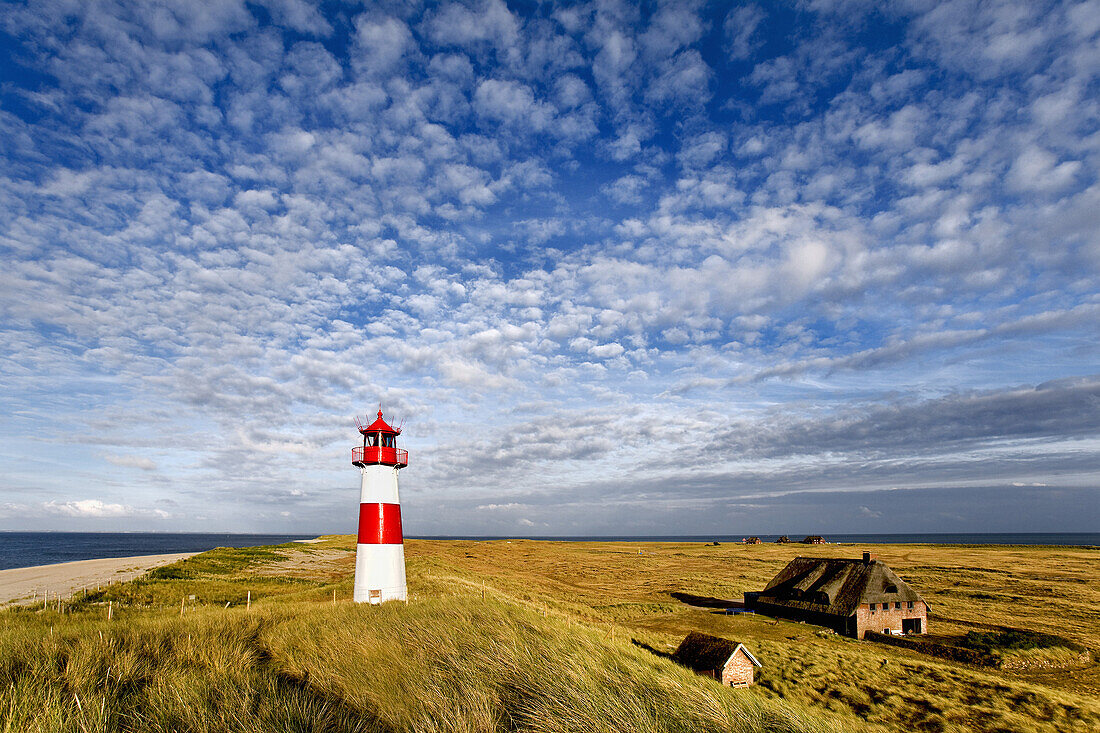 Lighthouse List-East, Ellenbogen, Sylt Island, Schleswig-Holstein, Germany