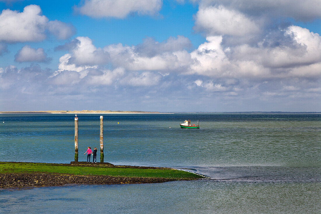 Harbor, List, Sylt Island, Schleswig-Holstein, Germany