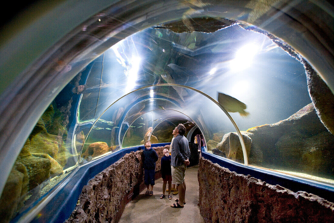 People visiting Aquarium, Westerland, Sylt Island, Schleswig-Holstein, Germany