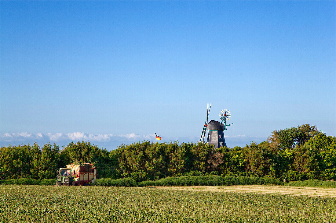 Windmill in Borgsum, Foehr island, North Frisian Islands, Schleswig-Holstein, Germany