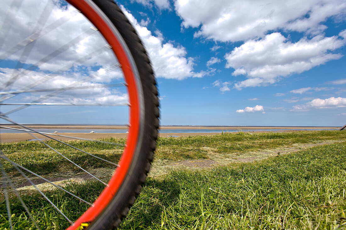 Radfahrer auf einem Deich, Föhr, Nordfriesland, Schleswig-Holstein, Deutschland