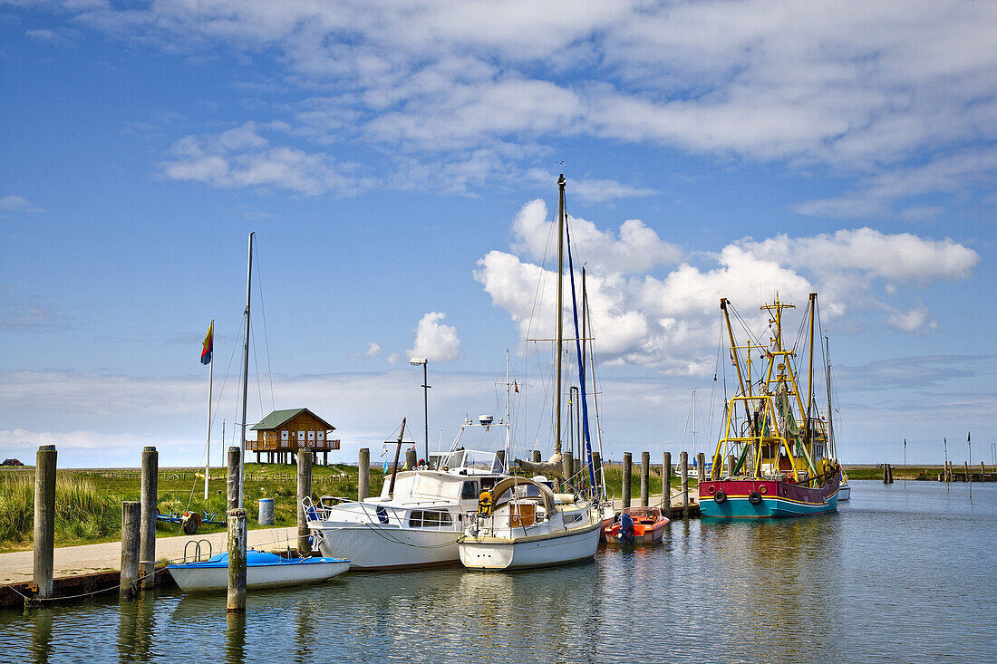 Boote im Hafen, Hallig Hooge, Nordfriesland, Schleswig-Holstein, Deutschland