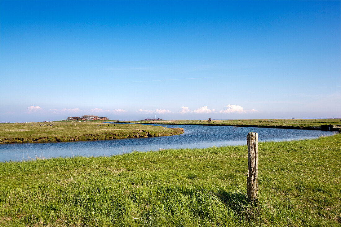 Dwelling mound, Hooge hallig, North Frisian Islands, Schleswig-Holstein, Germany