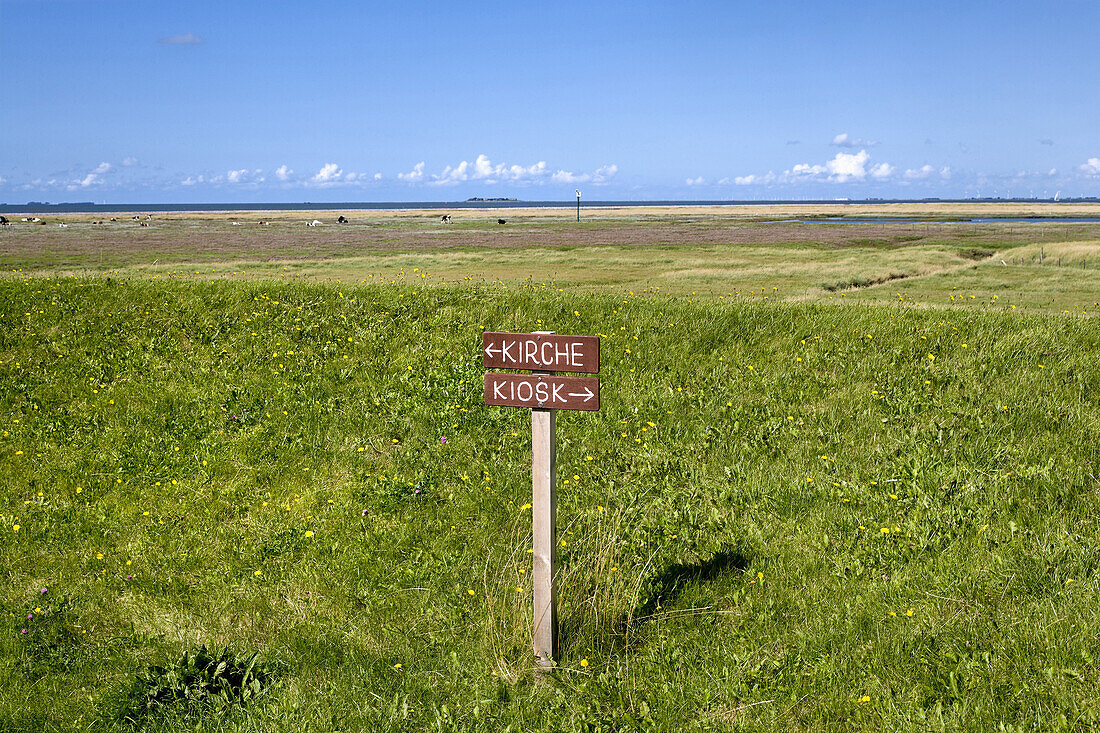 Signpost, Grode hallig, North Frisian Islands, Schleswig-Holstein, Germany