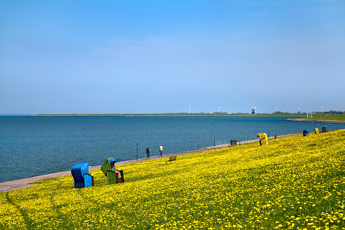 Beach chairs on dyke, Pellworm Island, North Frisian Islands, Schleswig-Holstein, Germany