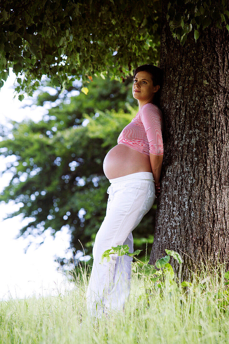Pregnant woman leaning against a tree