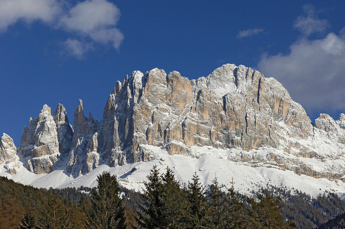 Coniferous forest and snowy mountains under blue sky, Dolomites, South Tyrol, Italy, Europe