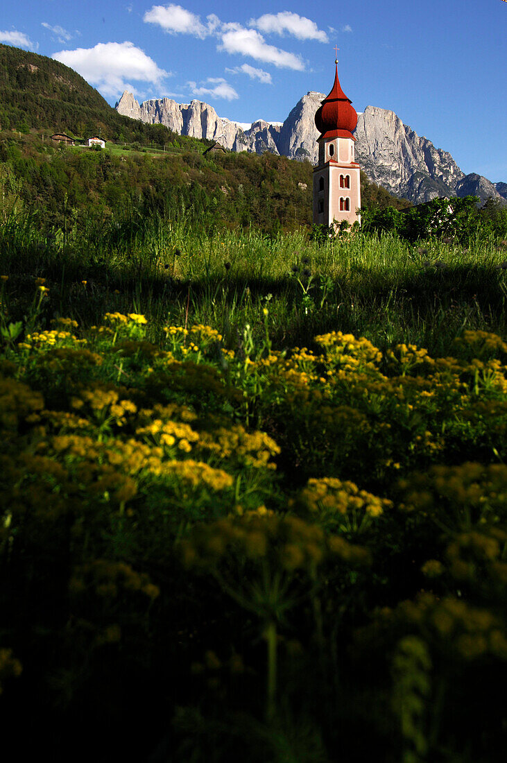 The steeple of Saint Oswald church in an idyllic scenery, Kastelruth, South Tyrol, Italy, Europe