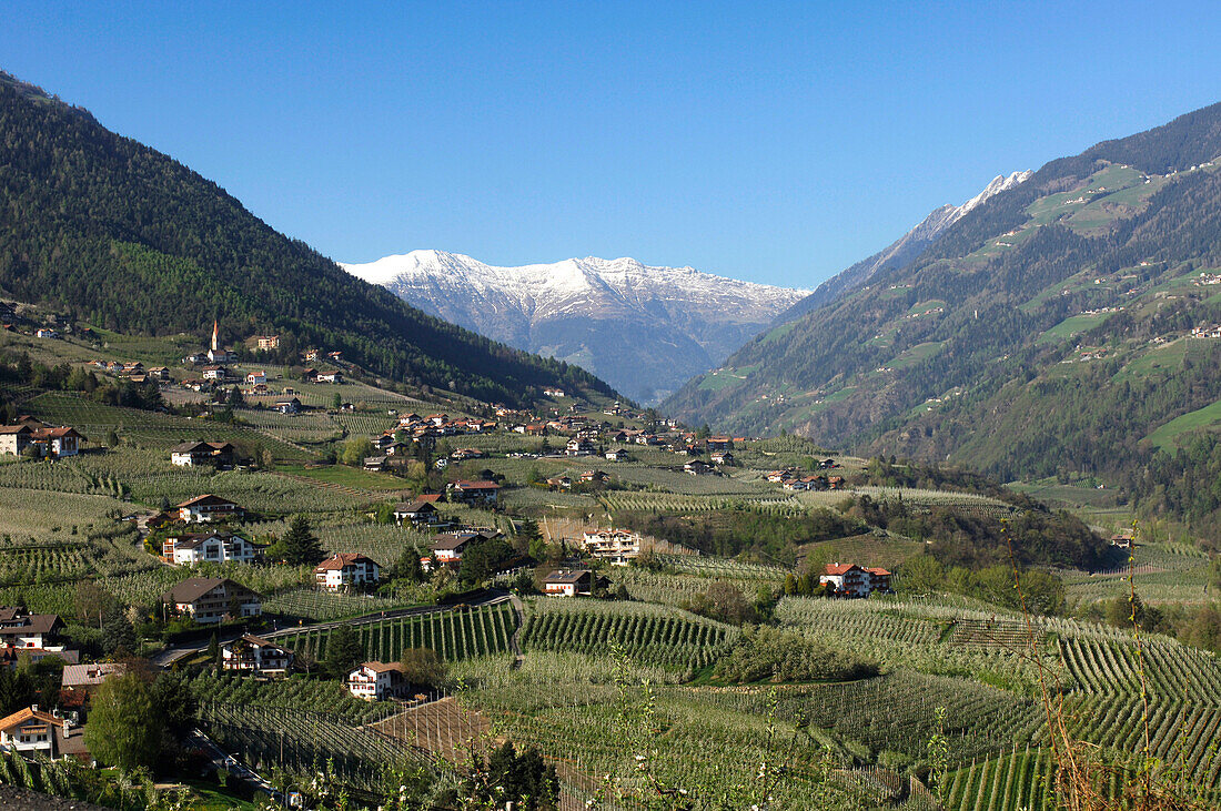 Grünes Tal mit Dorf und Weinfeldern, Riffian, Passeiertal, Südtirol, Italien, Europa