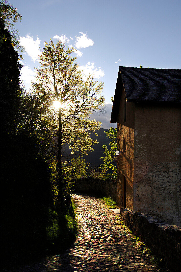 Blühender Baum und Bauernhaus im Sonnenlicht, Südtirol, Italien, Europa