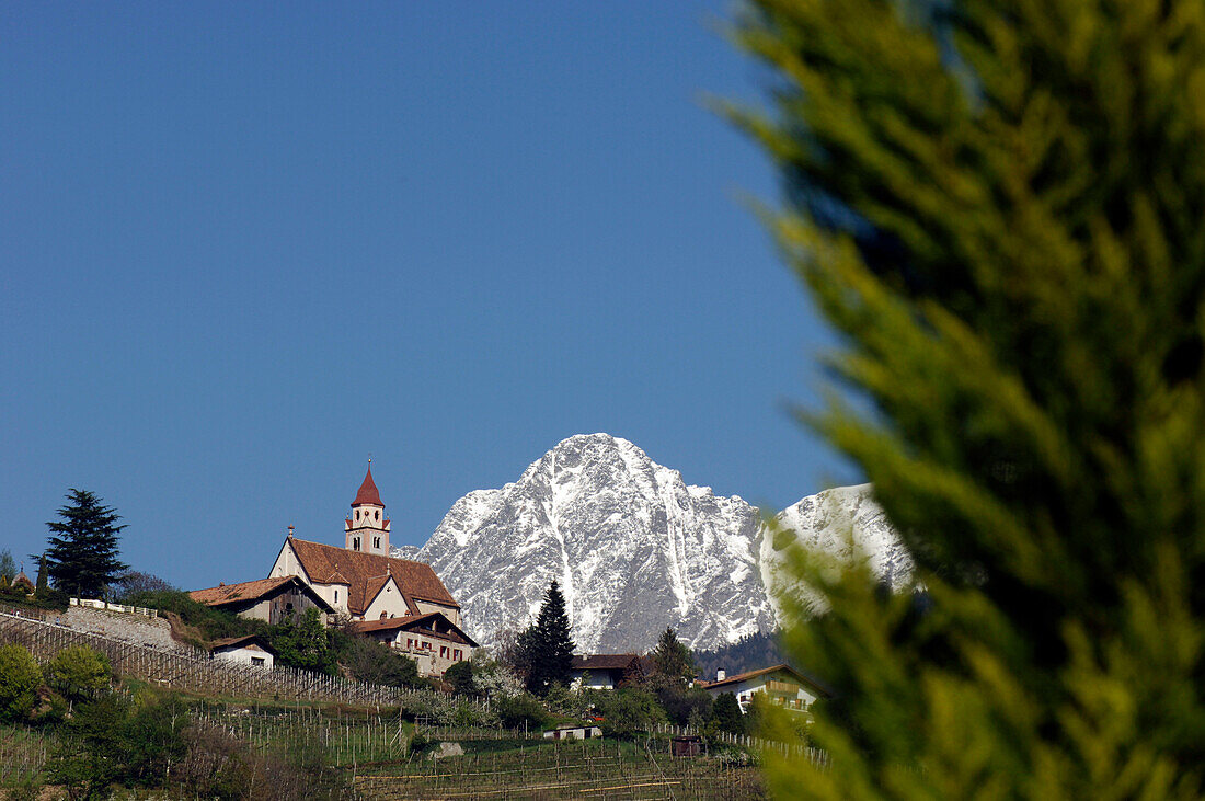 Häuser und Kirche vor schneebedecktem Berg, Dorf Tirol, Burggrafenamt, Südtirol, Italien, Europa