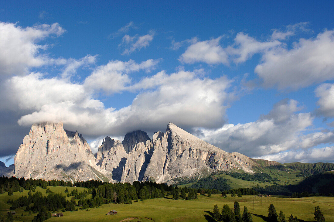 Alpine meadow and mountains under clouded sky, Alpe di Siusi, Valle Isarco, Italy, Europe