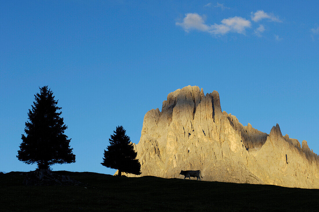 View at the mountain Monte Pana under blue sky, Val Gardena, Valle Isarco, Italy, Europe