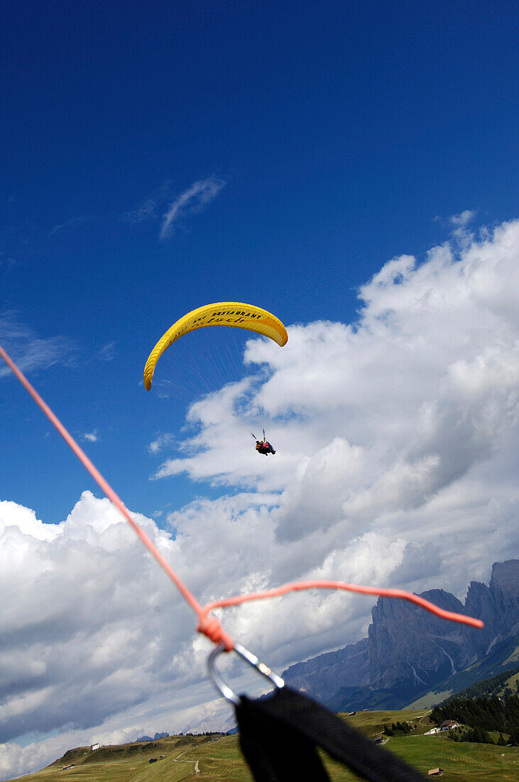 Paraglider in front of blue sky, Sciliar, Valle Isarco, South Tyrol, Italy, Europe