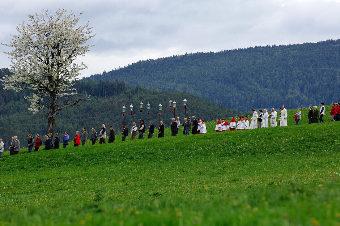 People processing over a meadow, Kastelruth, Valle Isarco, South Tyrol, Italy, Europe