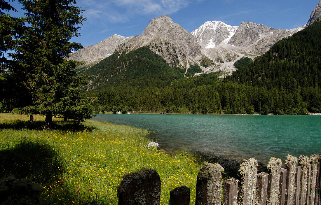 Der Antholzersee in idyllischer Berglandschaft im Sonnenlicht, Pustertal, Südtirol, Italien, Europa