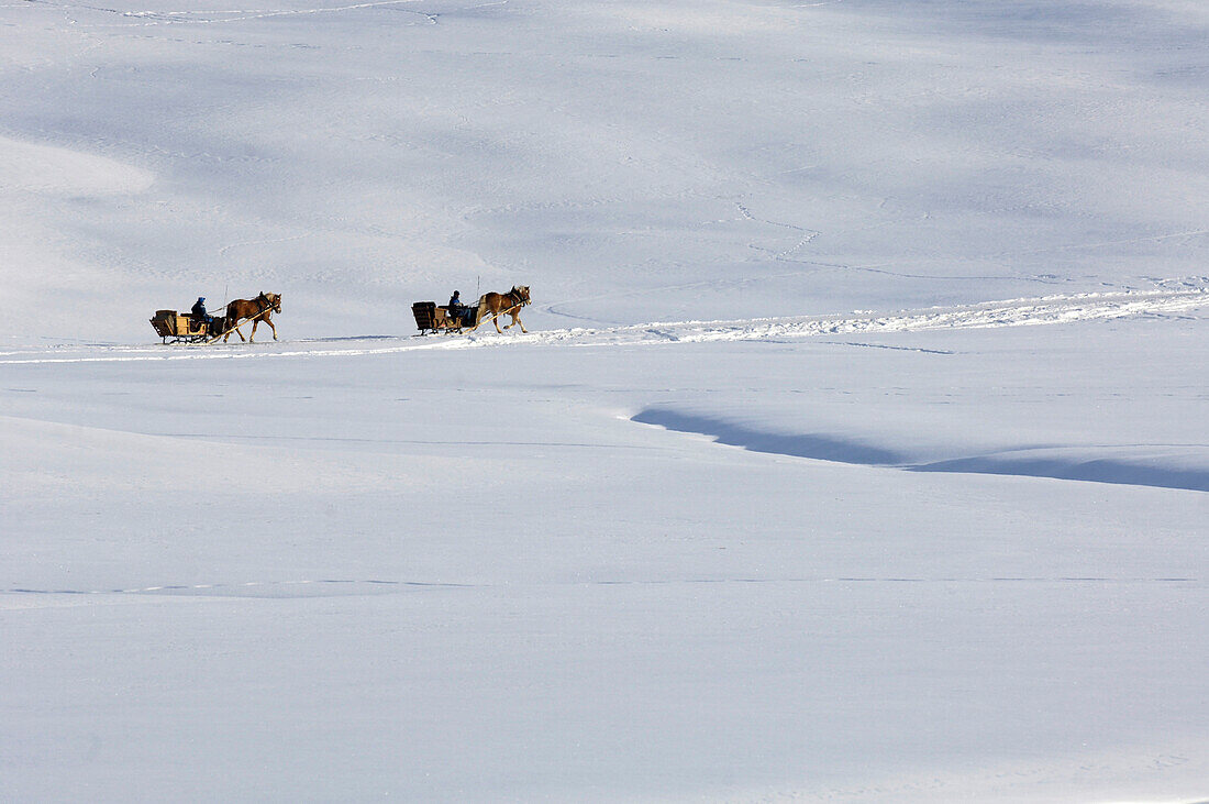 Zwei Pferdeschlitten in schneebedeckter Winterlandschaft, Seiser Alm, Südtirol, Italien, Europa