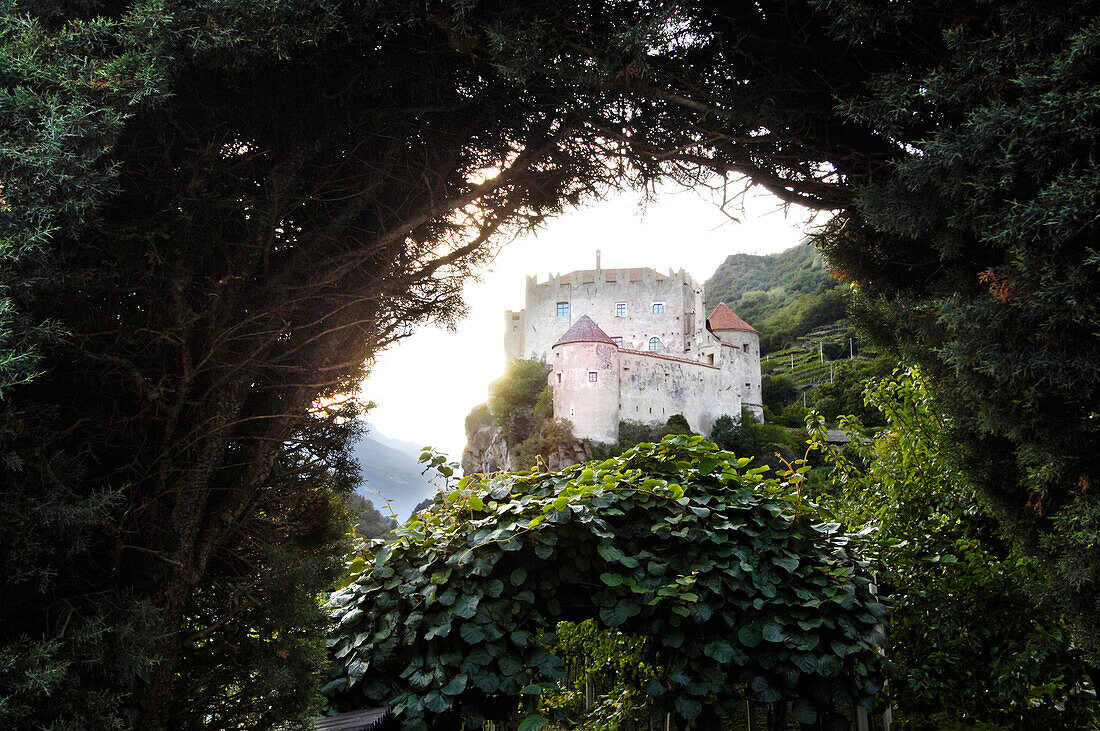 Blick durch eine Hecke auf Schloss Kastelbell, Kastelbell-Tschars, Vinschgau, Südtirol, Italien, Europa