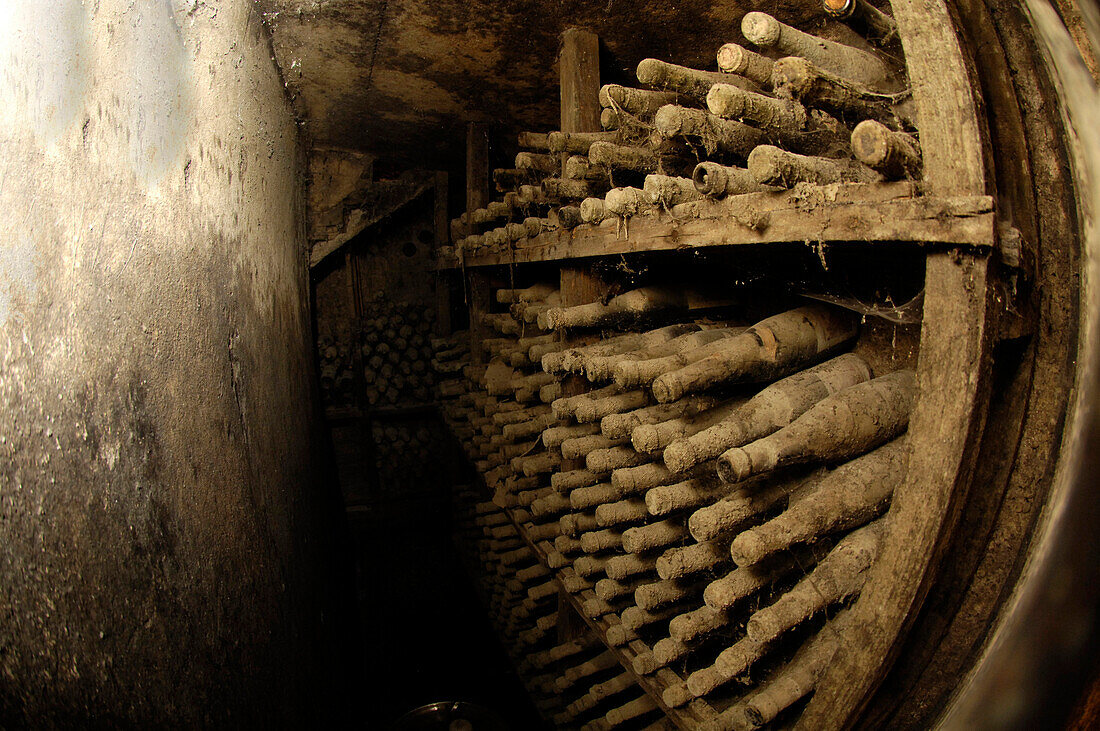 Blick auf verstaubte Weinflaschen in einem Weinkeller, Terlan, Südtirol, Italien, Europa