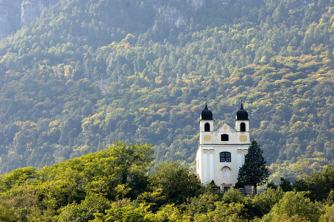 Blick auf die Gleifkirche vor bewaldetem Berg, Eppan an der Weinstrasse, Bozen, Südtirol, Italien, Europa