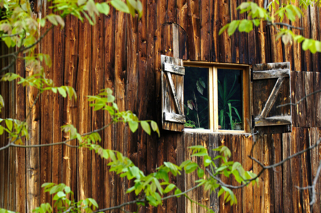 Holzfassade vom Bauernhof, Prackfolerhof, Völs am Schlern, Südtirol, Italien