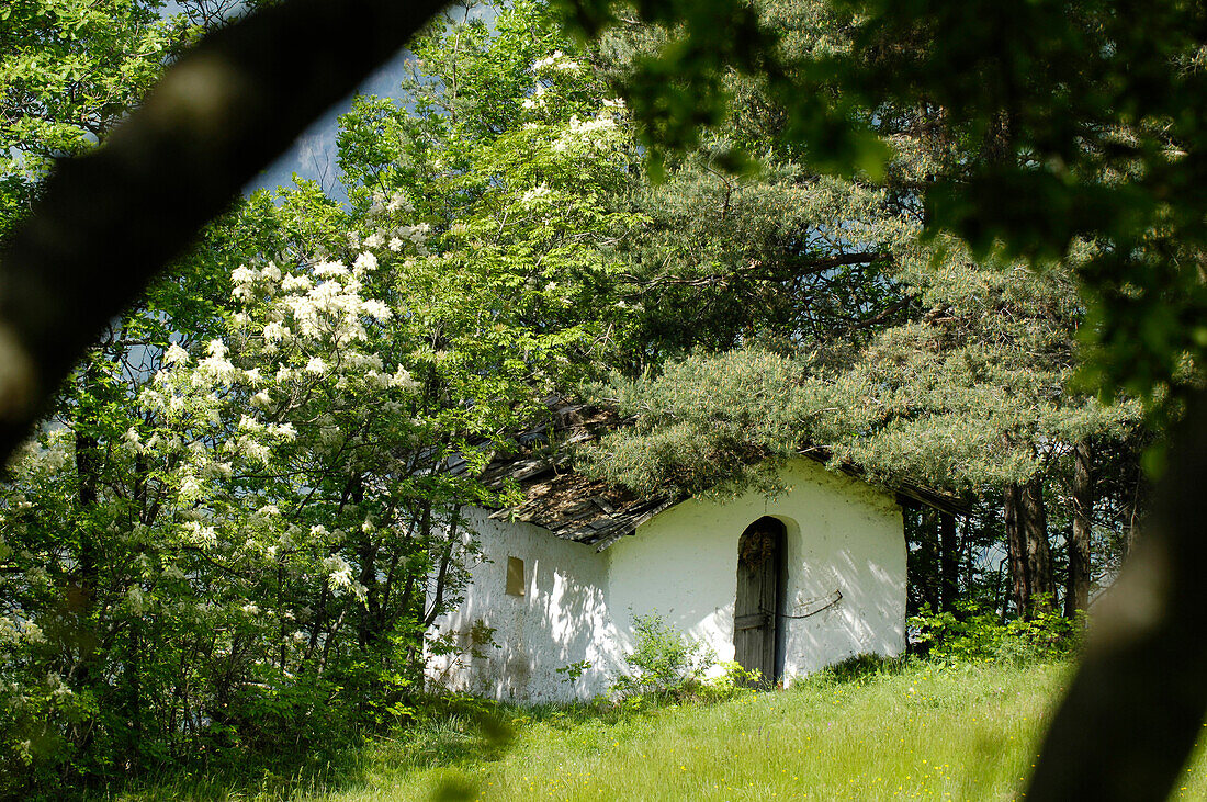 Chapel in St Oswald, St Oswald, Kastelruth, Castelrotto, Schlern, South Tyrol, Italy