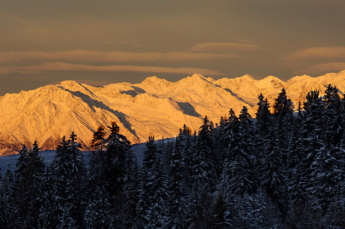 Berglandschaft und Nadelwald bei Sonnenaufgang, Sarntaler Alpen, Südtirol, Italien