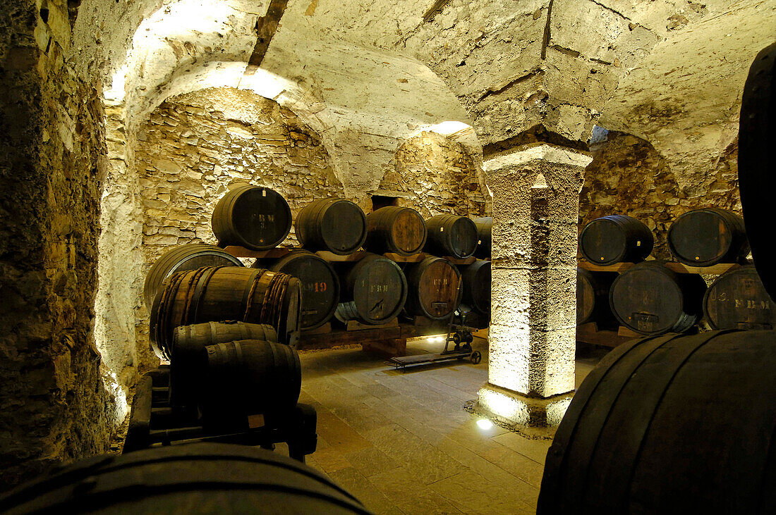 Wine celler with wine barrels, South Tyrol Wine Museum, Caldaro, Kaltern an der Weinstrasse, South Tyrol, Italy