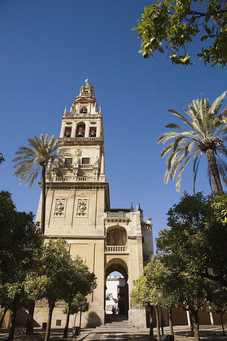 Córdoba. Andalusia, Spain