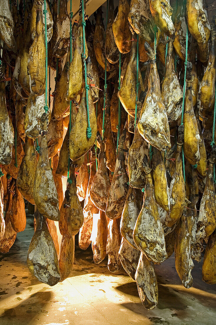 Cured hams.Valle de los Pedroches. Pozoblanco, Cordoba, Andalusie, Spain.