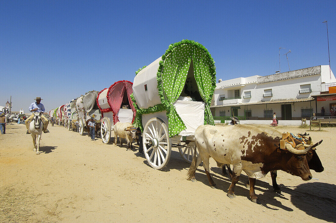 Romería' (pilgrimage) to El Rocío. Almonte, Huelva province, Andalucia, Spain