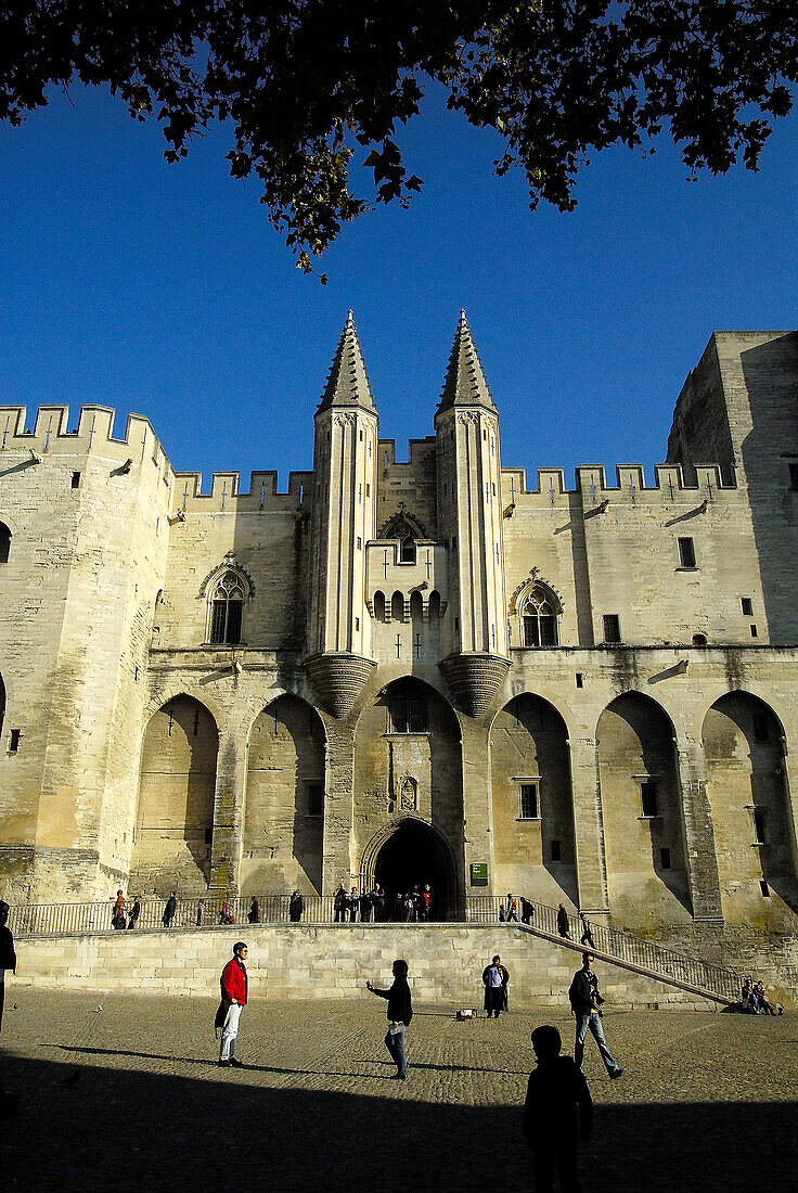 Popes Palace (14th century), Avignon. Provence, France