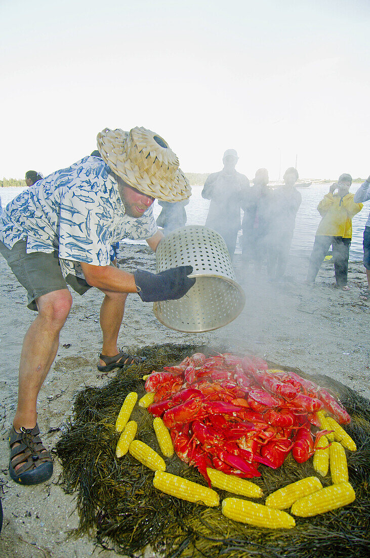 Captain Owen Dorr and crew steam corn and lobster at a lobster bake on the beach of Russ Island, Schooner Nathaniel Bowditch, Penobscot Bay, Maine USA