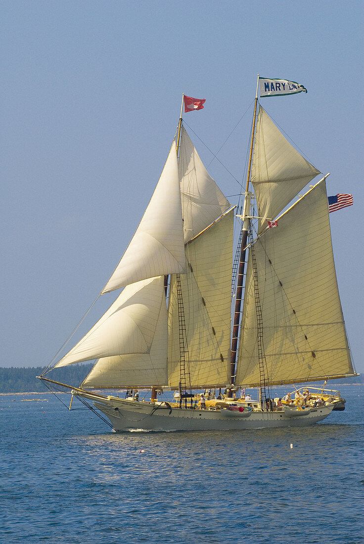 Schooner Mary Day sailing on Penobscot Bay, Maine USA