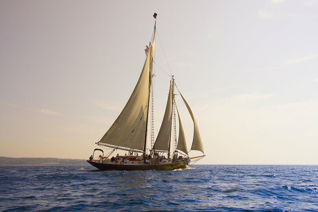 Schooner Nathaniel Bowditch sailing on Penobscot Bay, Maine USA