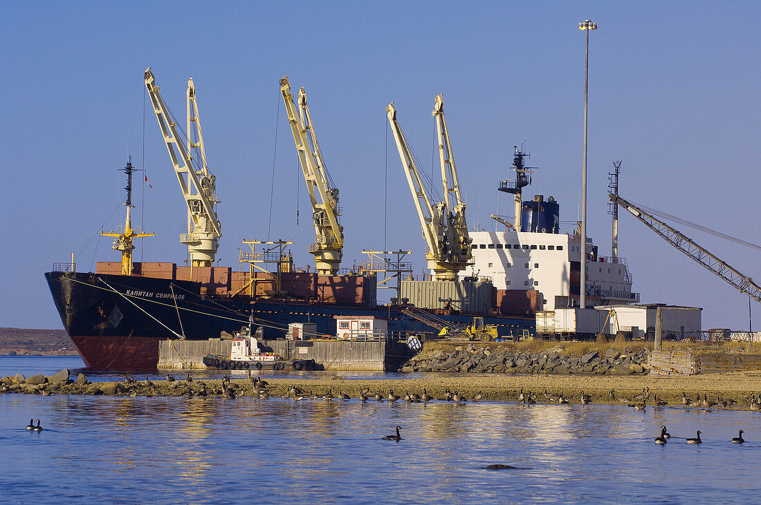 A Russian ship (Kapitan Sviridov) docked in the Port of Churchill, Churchill, Manitoba, Canada (with Canada geese in foreground). It had carried fertilizer from Estonia and then loaded Canadian wheat to transport to Italy.