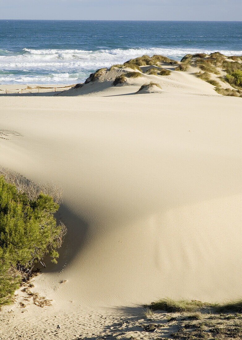 Sand dune at Cala Mesquida, Majorca, Spain